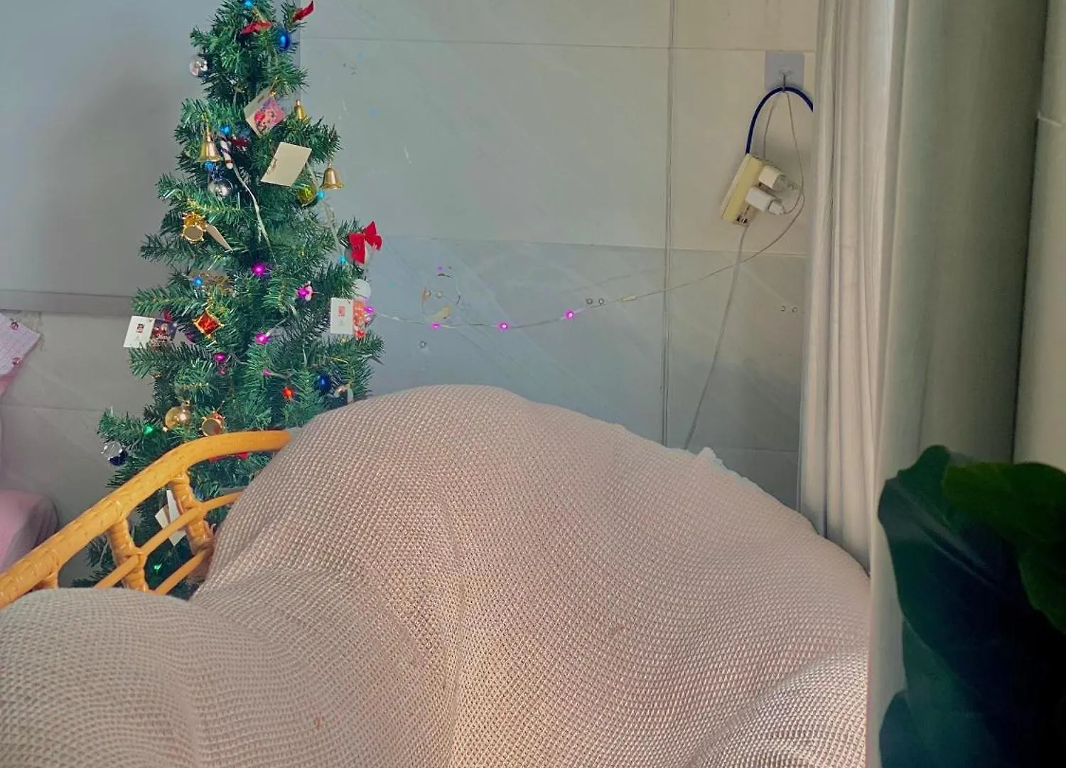 Homestay Tuyet Trinh 나트랑 3*,  베트남