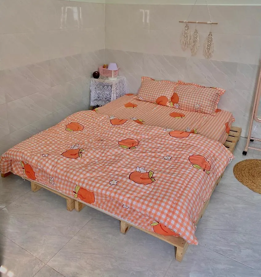 Homestay Tuyet Trinh 芽庄 越南